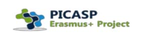 Picasp
